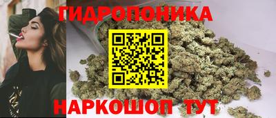 крисы Славянск-на-Кубани