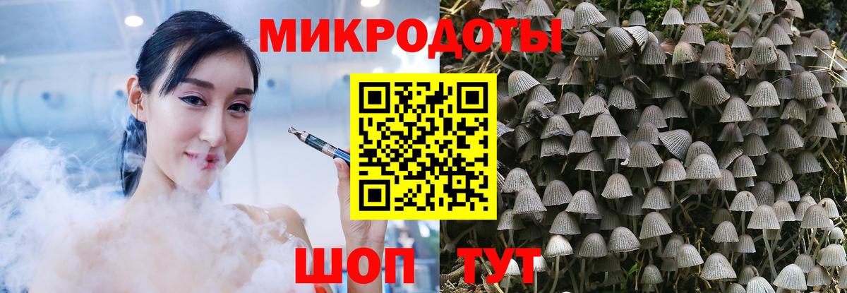 Нарткала  Псилоцибиновые грибы Psilocybe  Вход с VPN 